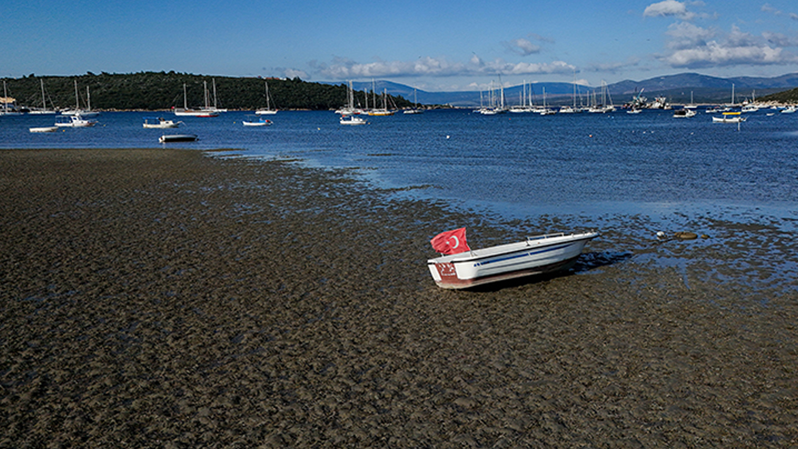 yetkili-isimler-harekete-gecti-turkiyede-tsunami-riski-var-mi-3ixf.jpg